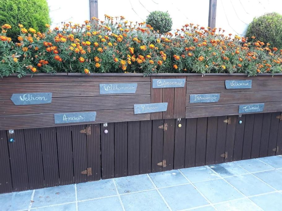 Studio Au Jardin Fleuri Verviers Exteriér fotografie