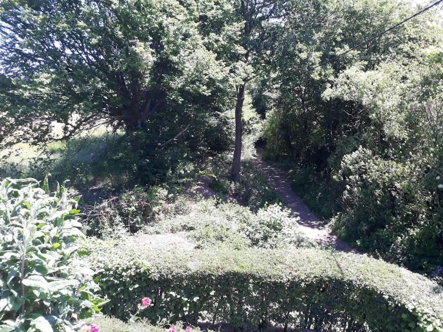 Studio Au Jardin Fleuri Verviers Exteriér fotografie